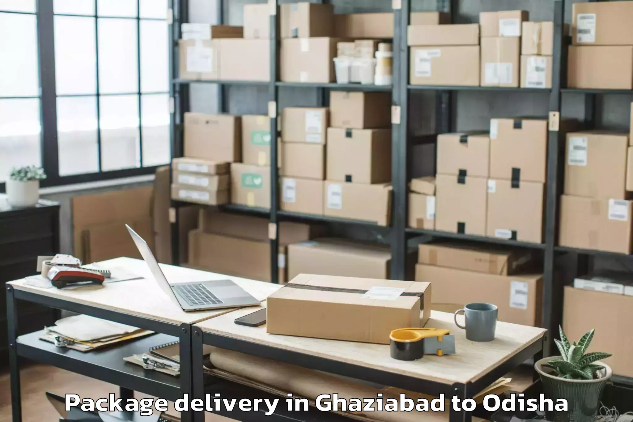 Professional Ghaziabad to Baripada Town Package Delivery